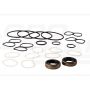 Steering cylinder repair kit b74700