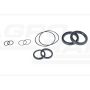 Set of seals for the extension cylinder and S.T. support.