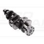 Crankshaft B53959
