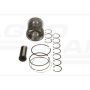 Repair kit for piston, pin and rings
