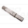 Input shaft