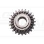Sprocket wheel Z-24 APOLLO