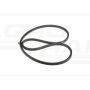 Variator drive belt