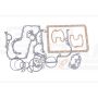 Set of engine gaskets