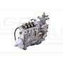 Einspritzpumpe 4M10P1I-4352