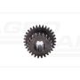 Gear wheel z-21/31