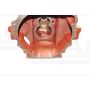 Zwischengehäuse des Kastens F-11741 17108201 Zetor