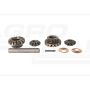 Front axle differential mechanism repair kit