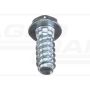 Self-tapping screw