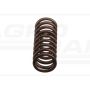 Valve spring