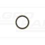 Oil seal