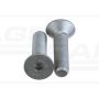 Socket screw