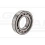 CYLI BALL BEARING