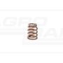 Valve spring.30/45-606