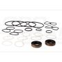 Steering cylinder repair kit b74700