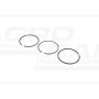 Piston ring
