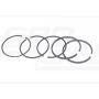 Satz Ringe: 1 Kolben C-360