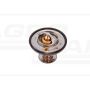 Thermostat.25/143-44