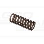 Valve spring