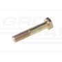 Boulon d'axe de roue 0095199