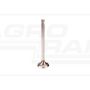 Exhaust valve