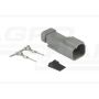 Stecker DT04-2P WESEM