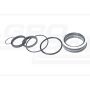 Set of boom actuator seals