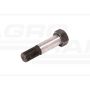 Star motor screw