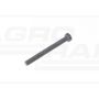 Pump long screw 5/16x3