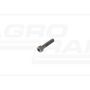 Allen screw M10x1.25x45