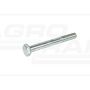 Galvanized screw