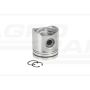 Power piston with pin. fi-94mm, w.34mm3pie BFM1012, BF4M1012 33-422