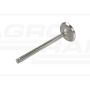 Intake valve