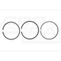 Sada pístních kroužků