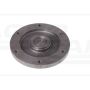 Disque de pompe d'injection 14004811