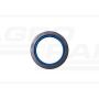 Seal 21/6407-21 70X95X15/16.5MM