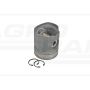 Power piston with pin. BF6L913 fi-102 21/33-389 (Not ventilated)