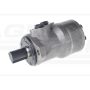 Hydraulic motor